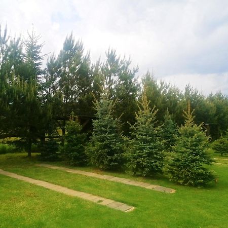 Отель Camp Pacho Прьевидза Экстерьер фото