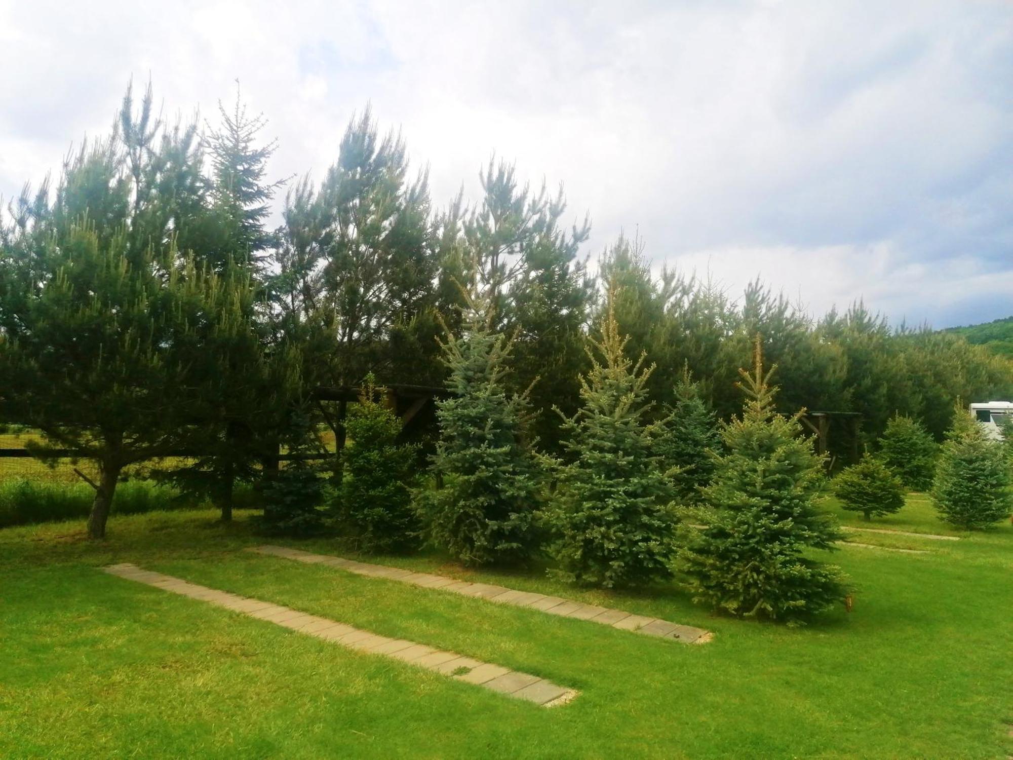 Отель Camp Pacho Прьевидза Экстерьер фото